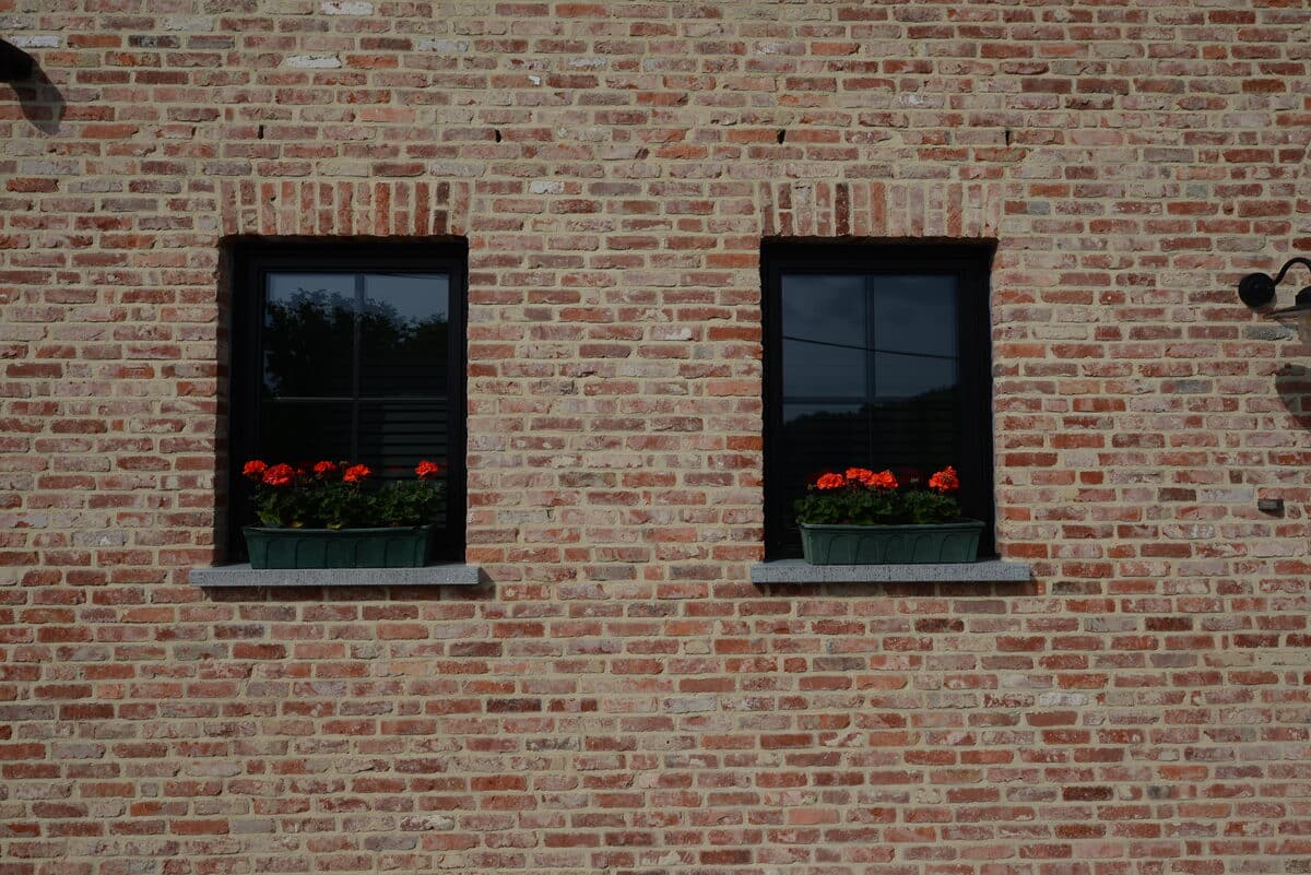 Twee zwarte steellook ramen met geraniums in een oude bakstenen gevel